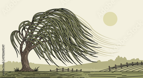 Stylized Weeping Willow Tree in Rural Landscape Illustration, Line Art