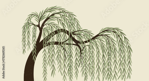 Stylized willow tree illustration with flowing leaves in muted tones
