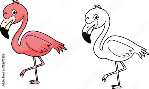 flamingo, bird
