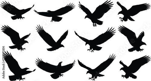 Bird of prey silhouette set, flying and landing eagle icons, flat vector illustration for wildlife, nature, predator, freedom, design use