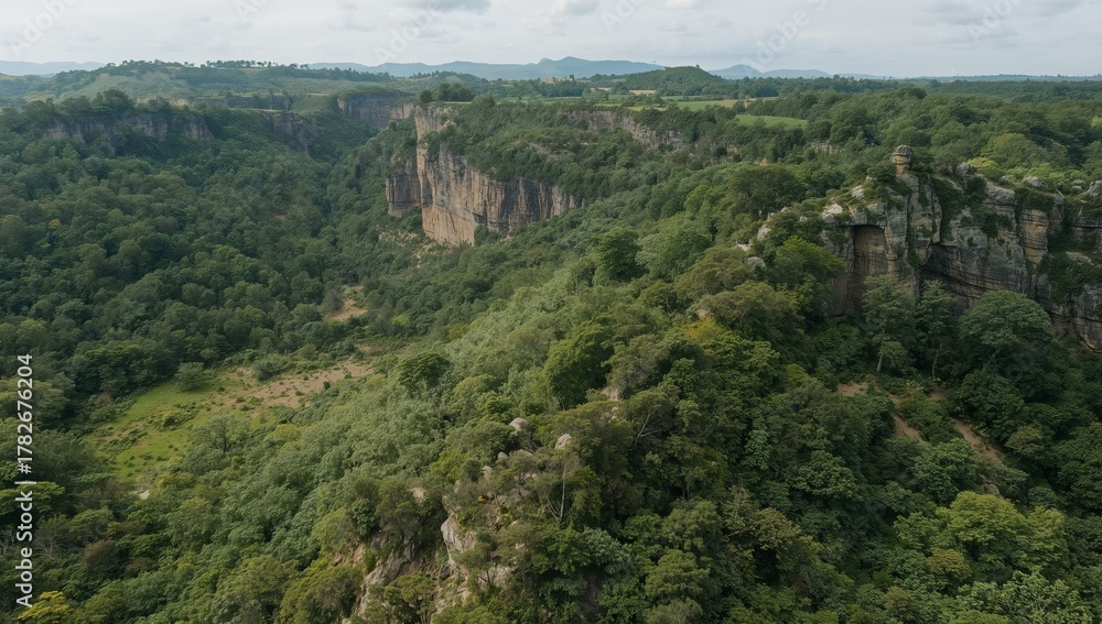 Obraz premium Verdant Valley Vista. A Landscape of Textured Cliffs and Dense Forest Canopy.