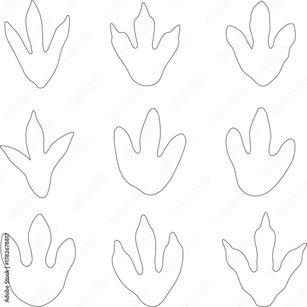 Fototapeta premium bundle of clean and varied dinosaur footprint Line-art