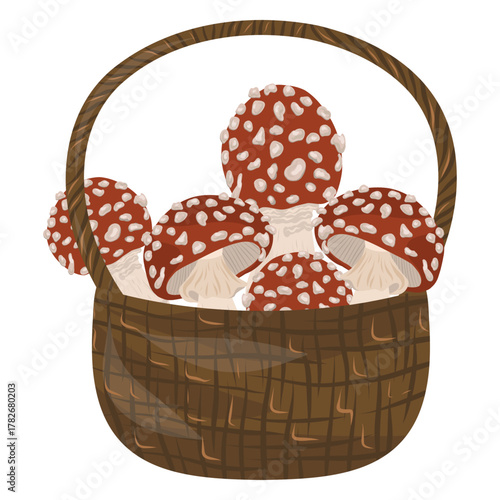 Basket full of fly agaric mushrooms vector illustration