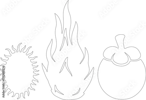 set of 3 exotic fruit Line-art rambutan, dragonfruit, and mangosteen