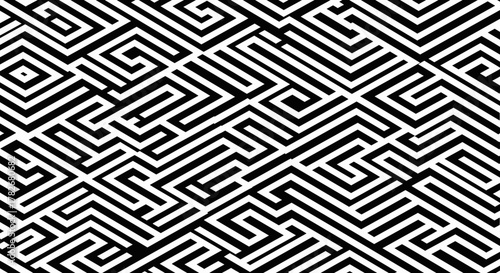 Intricate geometric pattern featuring a labyrinthine design with interlocking black and white lines creating a complex maze-like structure.