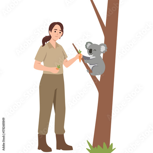 Woman Feeding a Koala on a Tree. Flat vector illustration isolated on white background