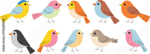 Colorful cute cartoon songbirds set in flat vector style, playful decorative birds illustration isolated on white background for design and craft projects assets