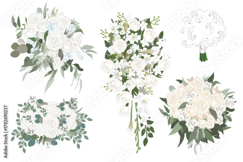 Colorful flower and Bernese Illustration 