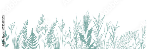 Teal Botanical Meadow – Modern teal botanical meadow with grasses and ferns in minimal vector line art style.