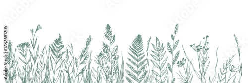 Teal Botanical Meadow – Modern teal botanical meadow with grasses and ferns in minimal vector line art style.