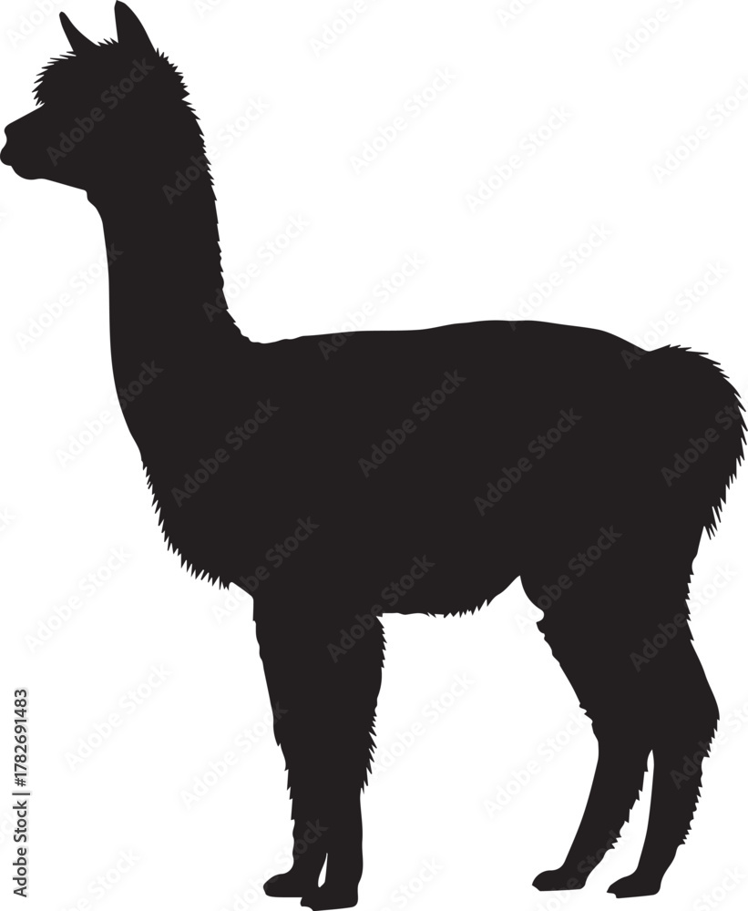 Naklejka premium Silhouette of a graceful alpaca standing profile on a farm animal