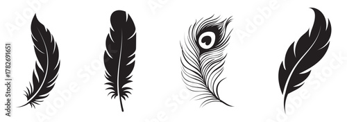 Black feather silhouette vector set. Different bird feathers icon collection. Bird feathers vector illustration, hand-drawn feather collection.