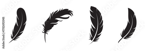 PNG Silhouette feathers elegant decorative design, element set on transparent background