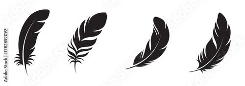 PNG Silhouette feathers elegant decorative design, element set on transparent background