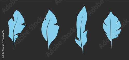 Black bird feathers vector illustration, hand-drawn feather collection, nature-inspired silhouette art, detailed plume sketch set, rustic boho design element