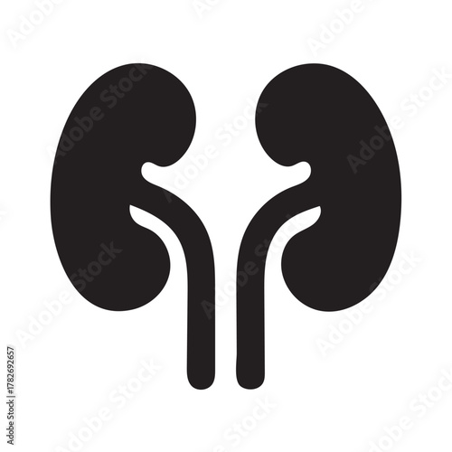 Minimalist Kidneys Icon for Medical and Health Design