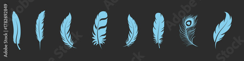 Feather icon. Bird feather icon set. Clean and detailed feather vector set ideal for natural and spiritual design themes. Feather black silhouette vector illustration. EPS 10