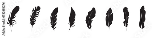 Minimal black feather silhouettes in assorted slim and curved forms, vector illustration set. Decorative bird feathers with clean lines arranged in two neat rows.