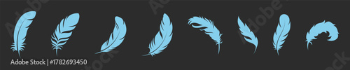 Bird feather icons on a white background. Black abstract feather silhouette collection. Elegance feather element decoration, Vector