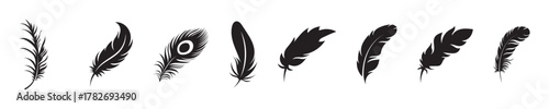 Elegant black feather silhouette set. Vector of feather icons collection. Black feather silhouette set in various shapes.