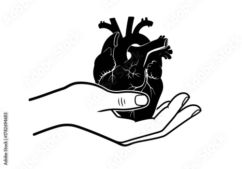 A hand gently cradling a detailed anatomical illustration of the human heart