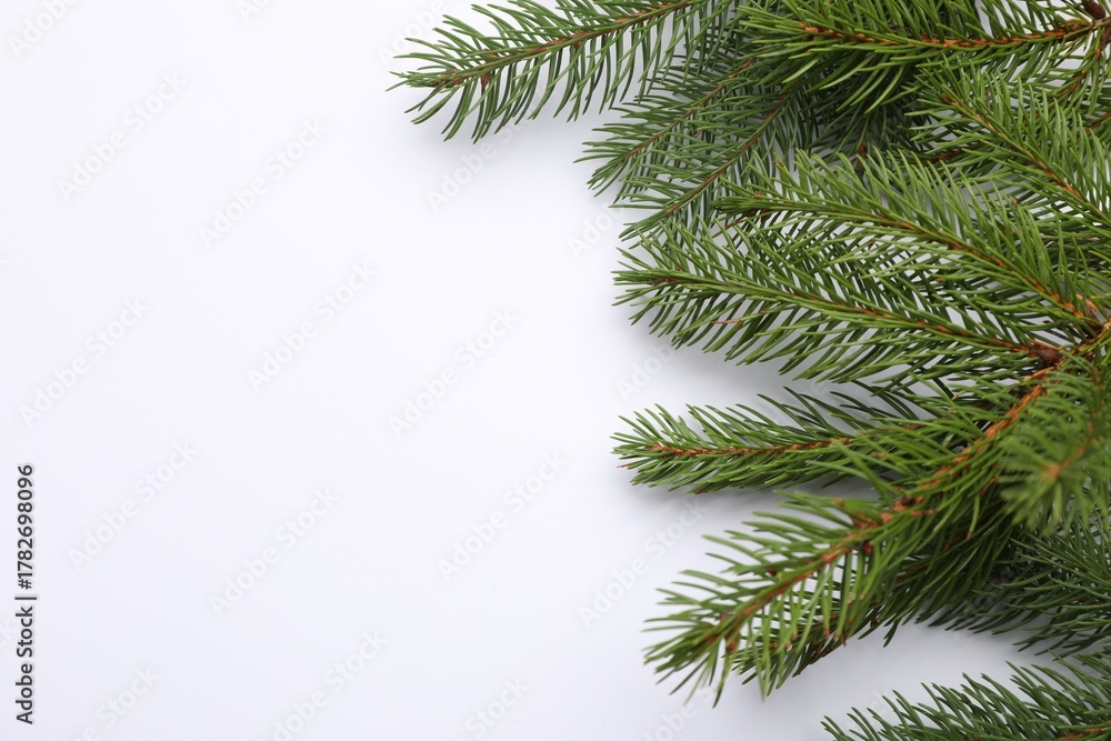 Naklejka premium Christmas tree branches on white background, flat lay. Space for text