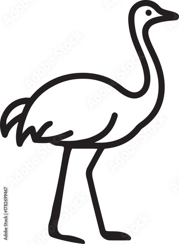 Ostrich bird outline vector