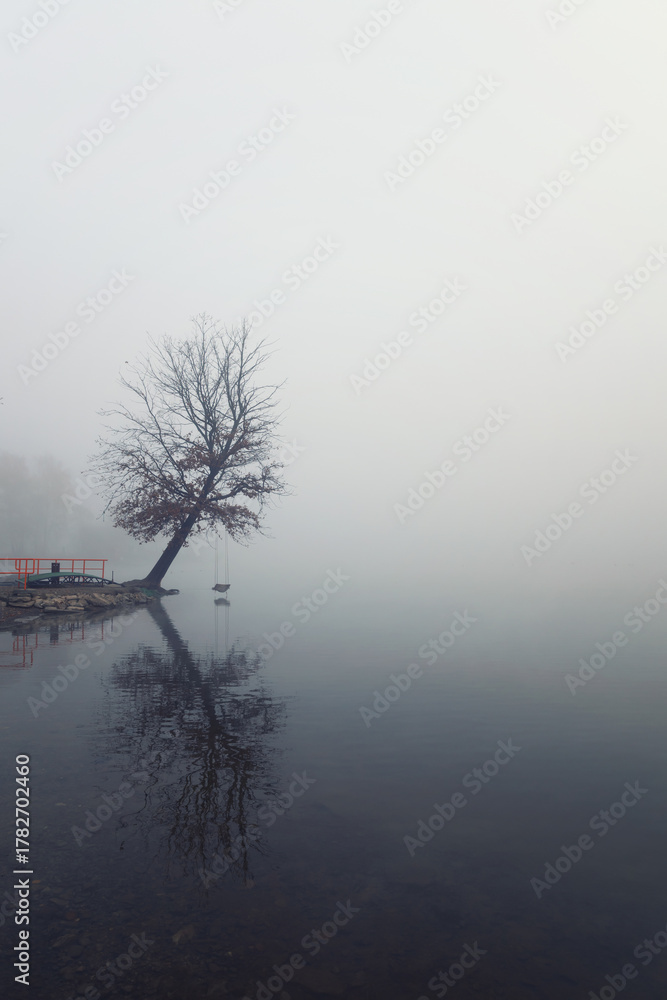 Fototapeta premium Misty Morning Reflection on the Lake, Poland