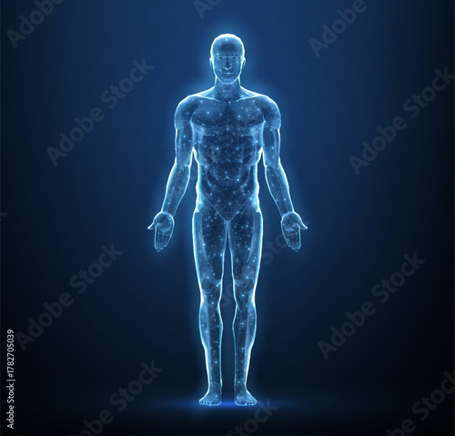 Human body. Abstract vector. Digital anatomy, Medical technology, Muscle structure, Health innovation, 3D model, DNA biotechnology, Body system, Science medicine, Healthy anatomy concept

