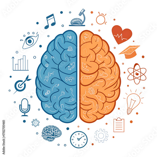 Creative left and right brain concept showing logic, creativity, innovation and emotional intelligence balance