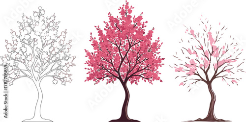 Beautiful pink blossom trees illustration showing three artistic cherry trees in spring bloom with floral nature design background