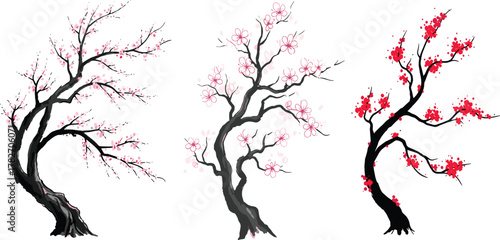 Three elegant cherry blossom trees illustration with pink and red flowers in Japanese art style isolated on white background