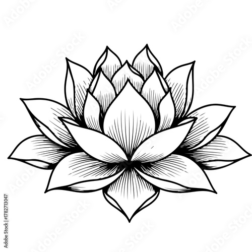 Hand-drawn lotus flower with soft shading and layered petals. Represents purity and enlightenment, ideal for tattoo design, yoga art, and botanical illustrations.