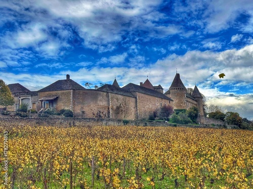  Vignoble bourguignon de Rully en automne 
