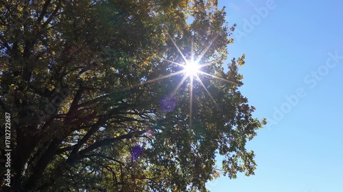 VALLE DELLA PIETRA DI BISMANTOVA REGGIO EMILIA