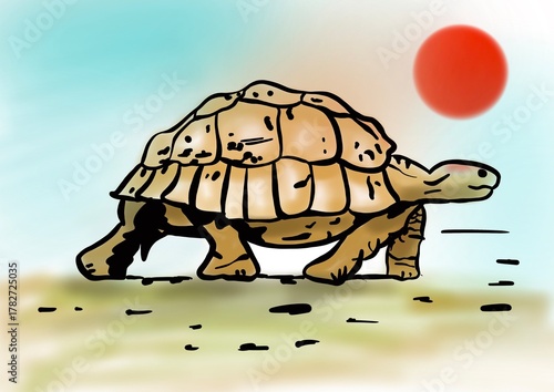 turtle on the background of the red sun. 