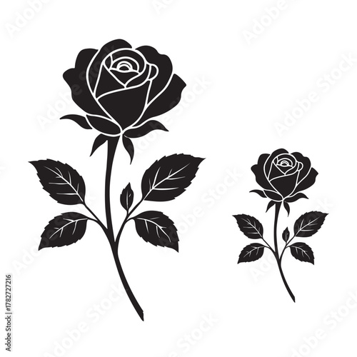 Rose flower silhouette vector design - Rose flower vector illustration