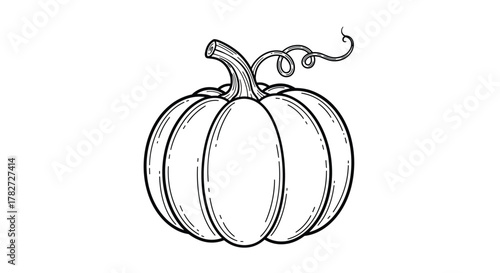 An outline drawing of a pumpkin with a stem and tendril, perfect for autumn harvest, Halloween, or Thanksgiving designs.