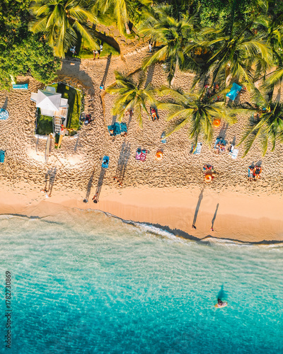 tropical beach with palm trees