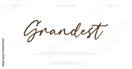 Hand drawn vector alphabet. Modern monoline signature script font. Elegant Signature Font. Best Alphabet Beautiful Calligraphy Signature Font lettering
