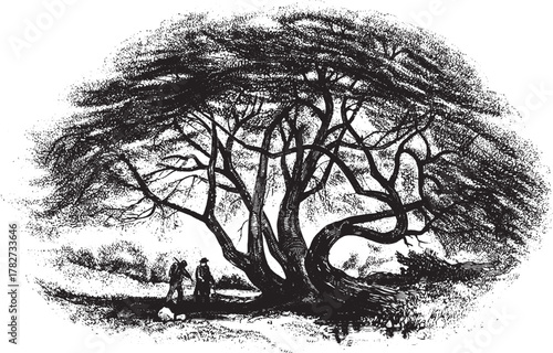 Wych Elm tree. Artistic Tree Branch with Blossoms