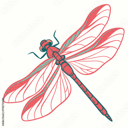 Illustration of a red dragonfly with translucent wings
