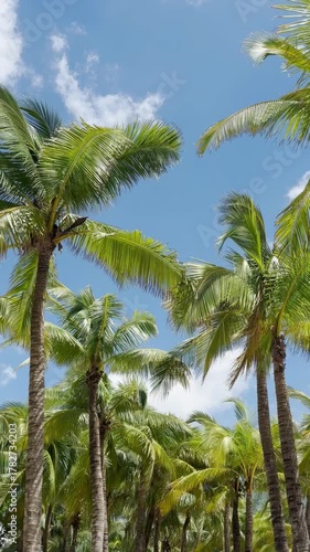 Wallpaper Mural Fresh palm leaves sway against a serene blue sky Torontodigital.ca