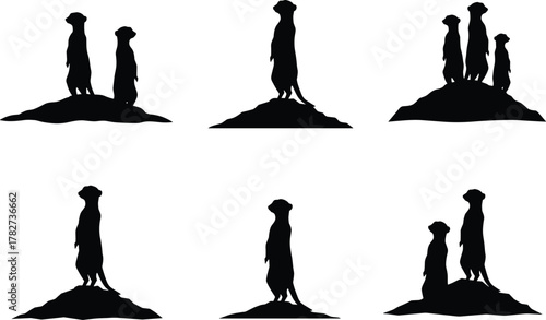 Meerkat silhouette collection, wild animal standing on mound illustration, desert wildlife vector art, group of meerkats watching landscape