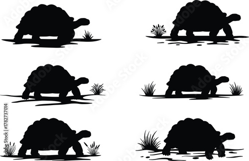 Giant tortoise silhouette collection, wildlife reptile illustration, slow animal walking on ground, nature vector design, tropical turtle graphic art set