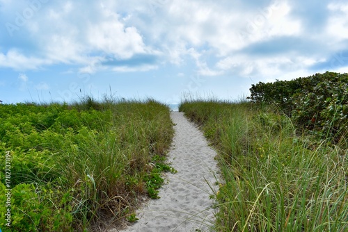 Fototapeta Naklejka Na Ścianę i Meble -  Ocean Sand Dune Path
