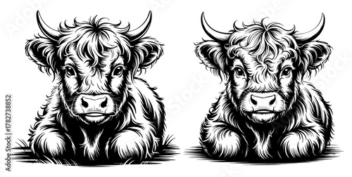 Two adorable highland cattle calves lying down, drawn in black and white, showcasing their fluffy fur and endearing faces