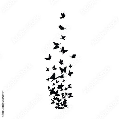 A cascade of black butterfly silhouettes ascending upwards in a graceful formation silhouette
