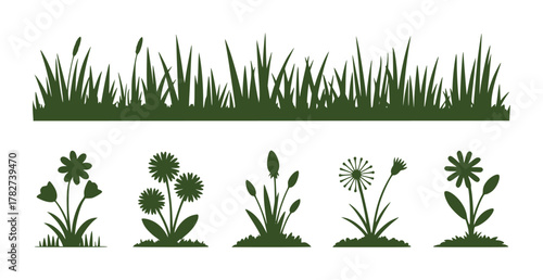 Green Grass and Wildflower Silhouettes on White Background