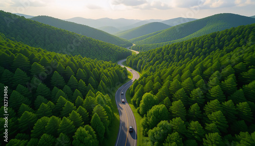 Aerial View of a Winding Road Snaking Through Dense, Lush Green Forest and Rolling Hills. 